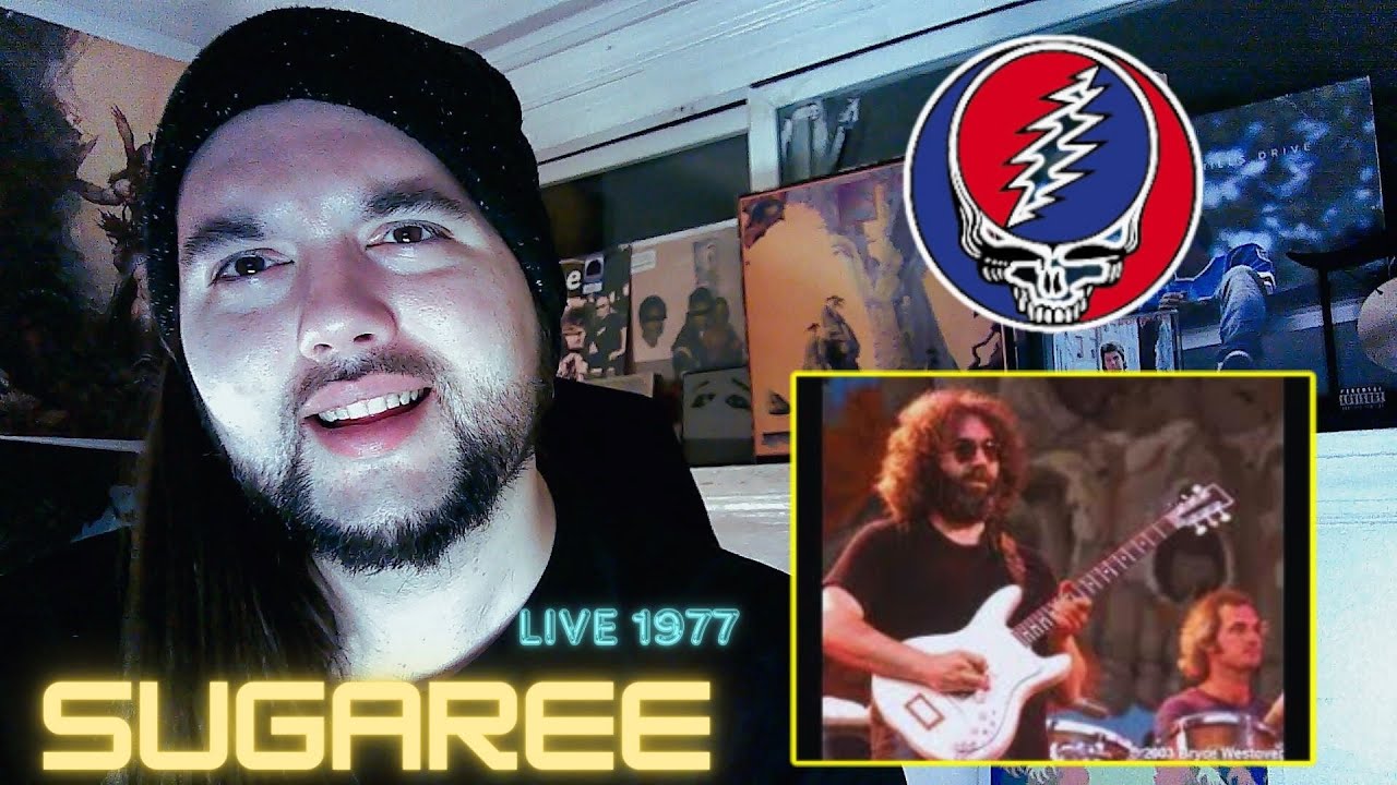 Drummer reacts to 