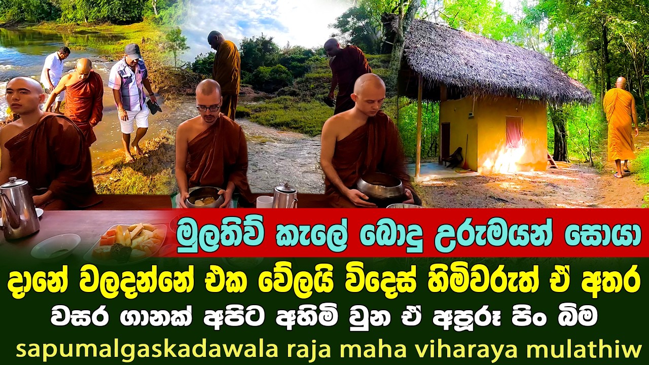 Sapumalgaskada aranya mulathiw ☸☸ |වසර ගානක් අපට අහිමි වු මුලතිව් මහ කැලේ පිං බිමට |අක්කර 50න නටඹුන්