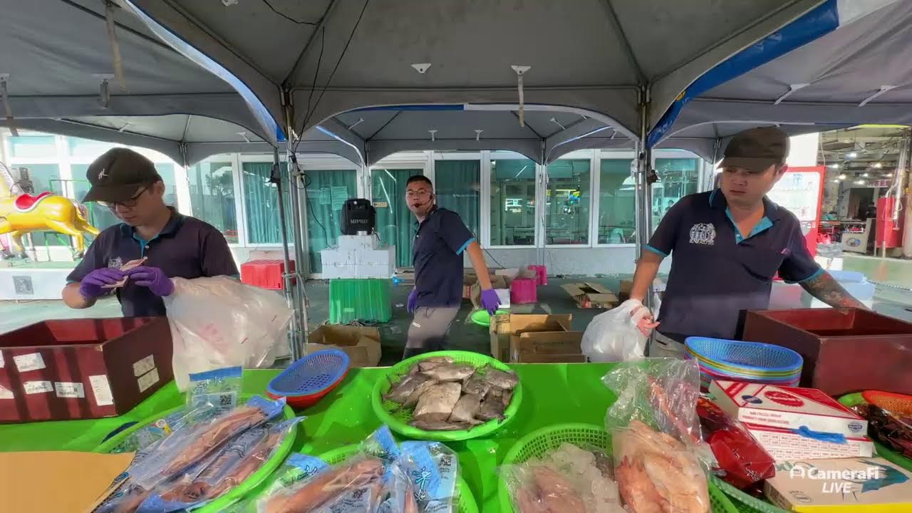 0307 興達港海鮮拍賣 港都小孟