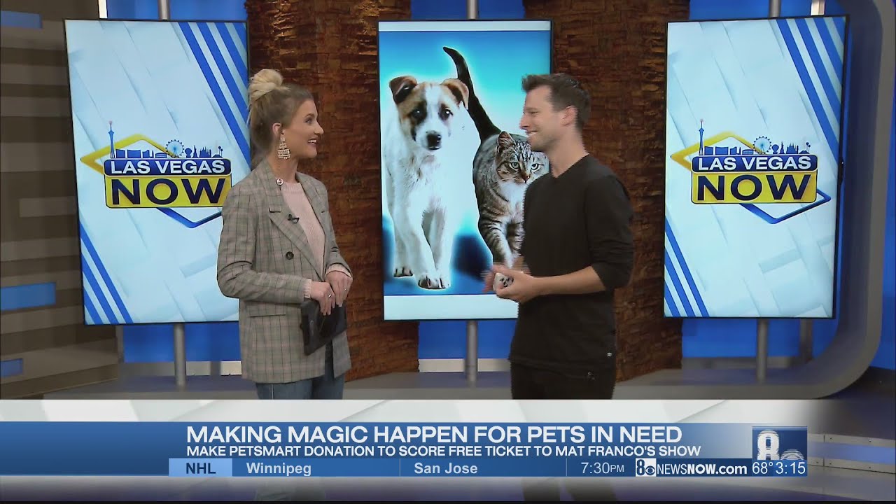 Making magic happen for pets in need with Mat Franco