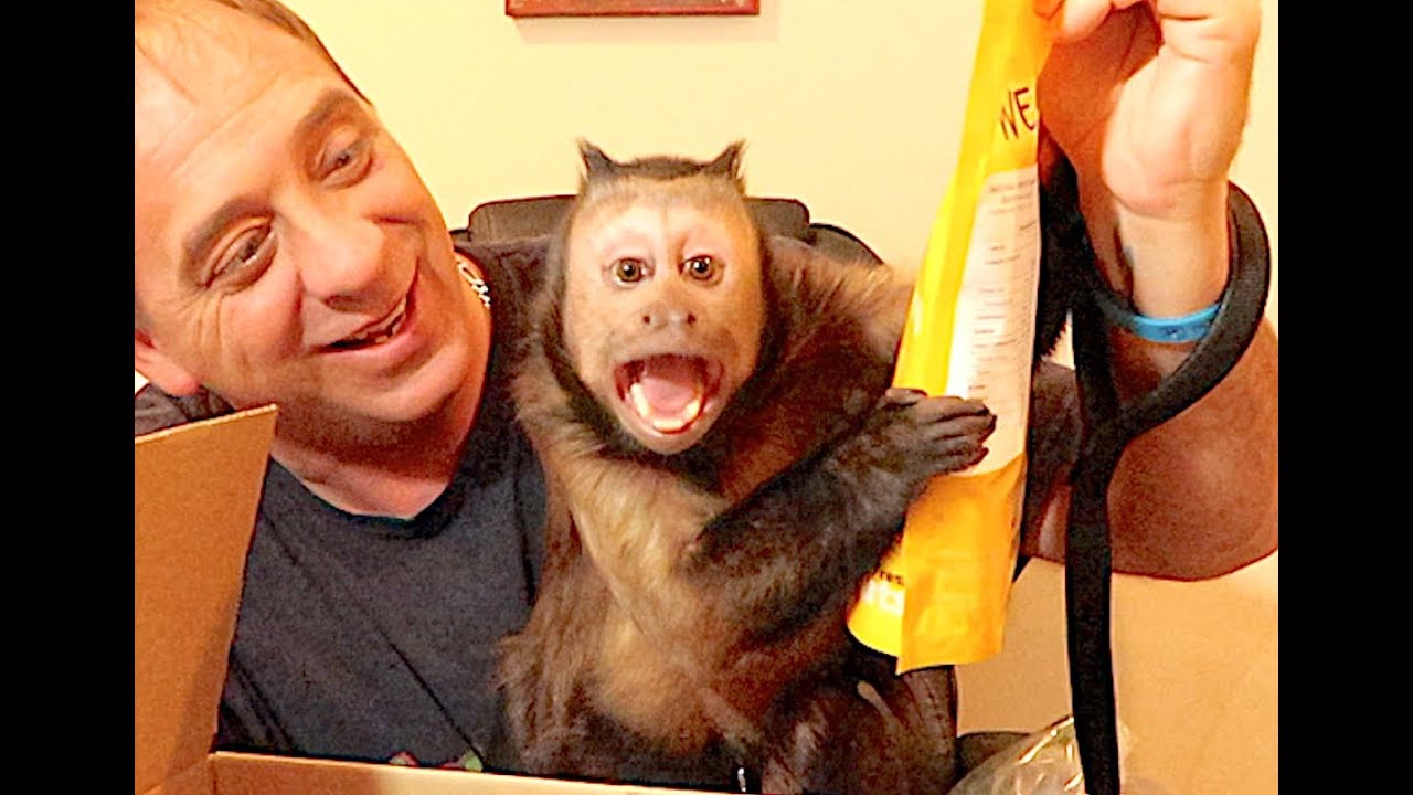Monkey Monday Mail Vlog! AquaBot Winners