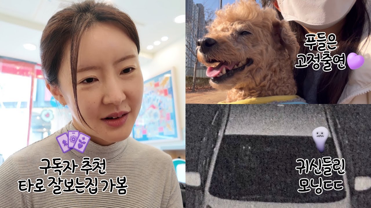 일상 브이로그🍊평범한 나날들이지만 내 마음은 심란하다고?!😶‍🌫️엄마 환갑 기념으로 울쎄라🎀