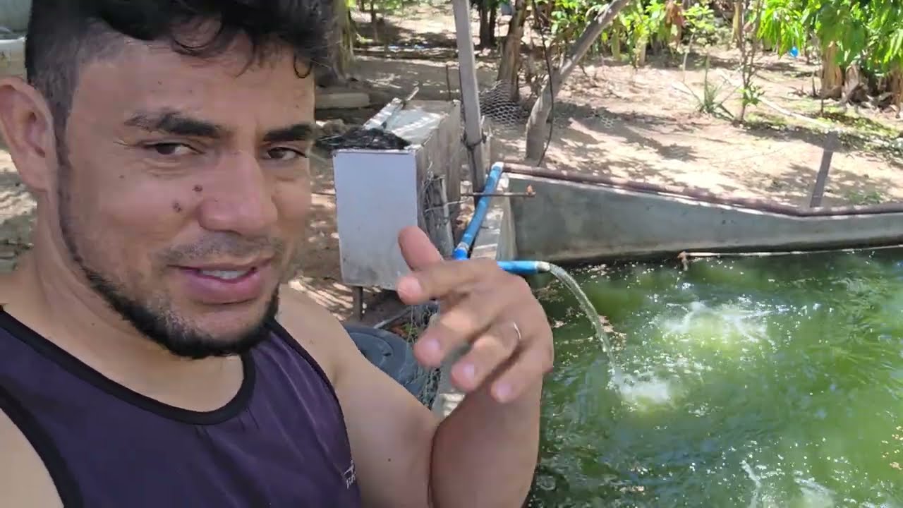 Esse sítio é uma RIQUEZA 🤩🤩🤩