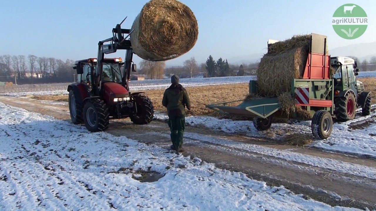 agriKULTUR: Dominic - Schlaft Erdbeeren, schlaft!