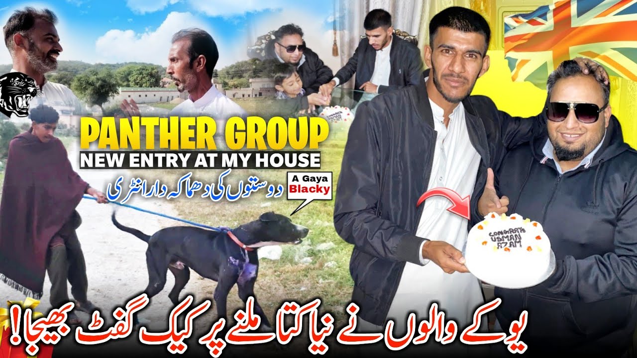 Blockbuster Friends Entry At My House For Blacky 😍 Panther Group || Cake Gift Mil Gaya 🇬🇧Family Vlog