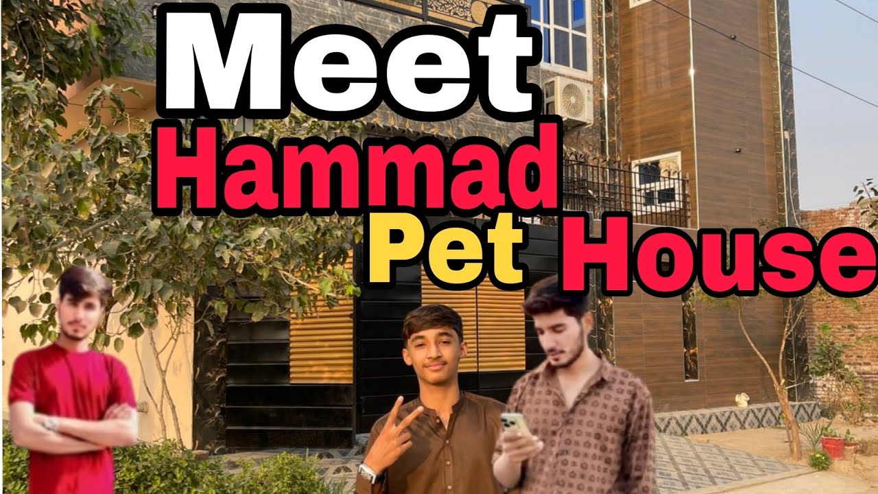 Meet With Hammad Pet House 🏡||Big YouTuber😱😱