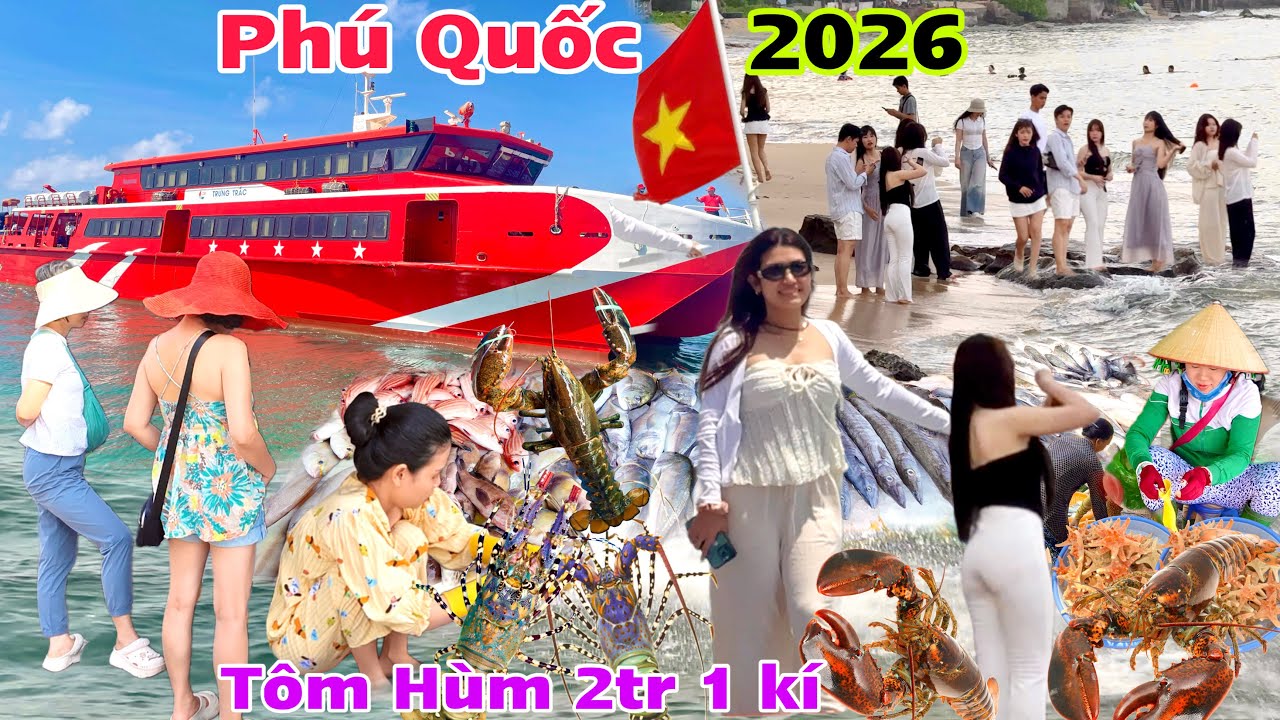 Khám Phá Toàn Cảnh Phú Quốc 2026 giá vé tàu đỏ 216k ,Bất ngờ giá TÔM HÙM khủng 2 triệu 1 ký 