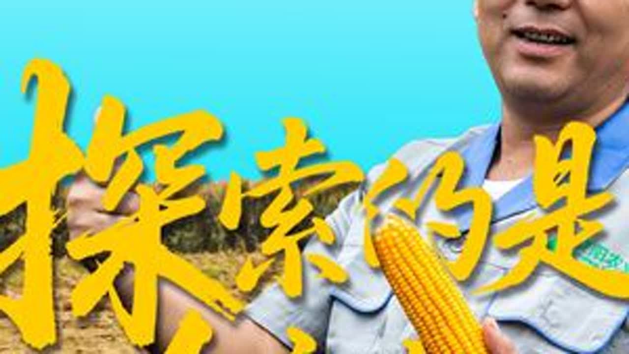 从修车摊到烘干塔｜他说：农业的最后一公里是烘干 连阴天里，十几万斤玉米在院里发芽。那一刻他明白：农业的最后一公里，不是收割，是烘干。从路边修自行车，到焊农具、开农机公司，再到如今经营670亩...