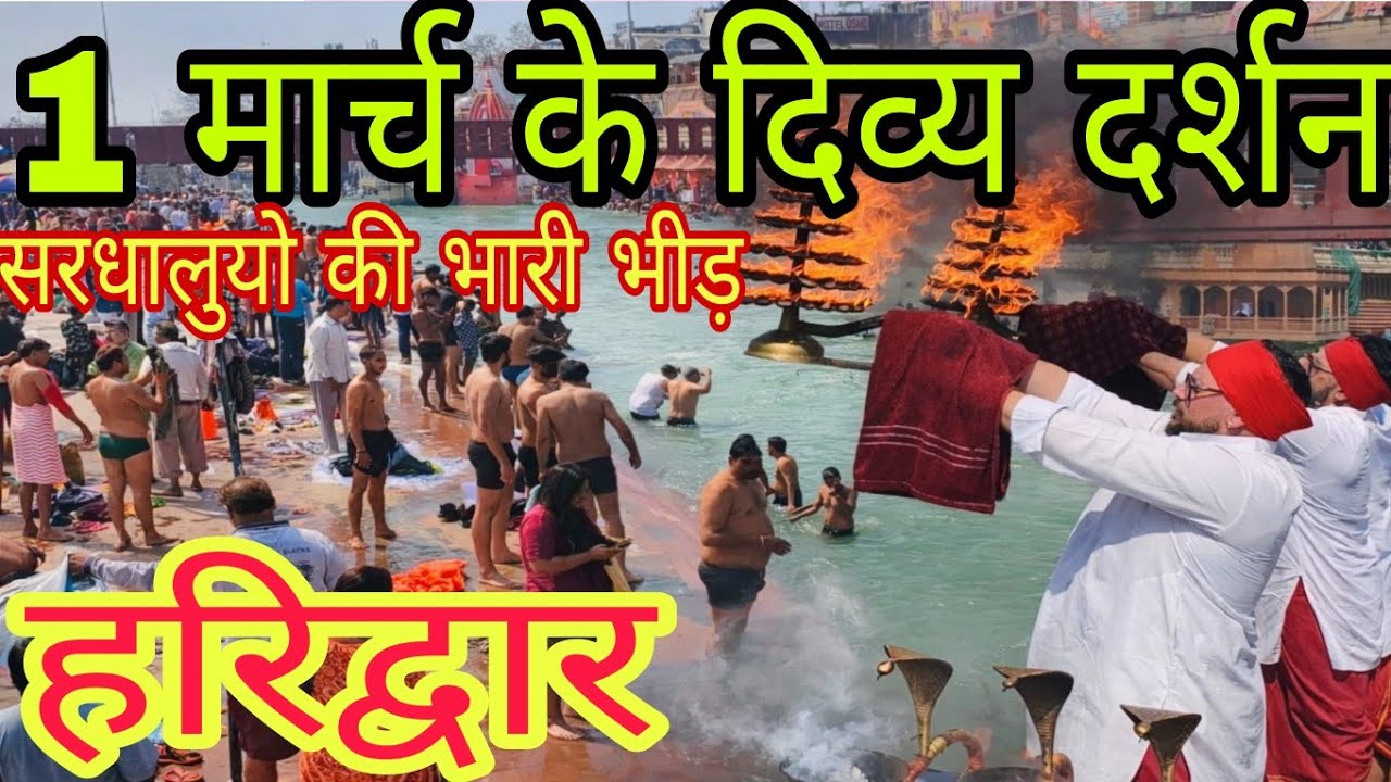 हरिद्वार सरधलुयो की भारी भीड़ | 1मार्च के ताजा दर्शन  | Haridwar New Update 🚨||