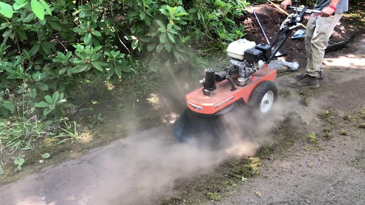 Asphalt Moss Removal