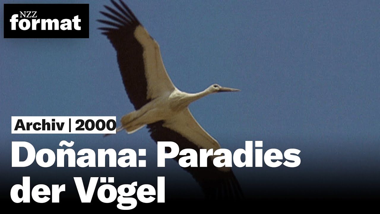 Do&ntilde;ana: Paradies der V&ouml;gel | Nationalparks in Europa (1) - Doku von NZZ Format (2000)