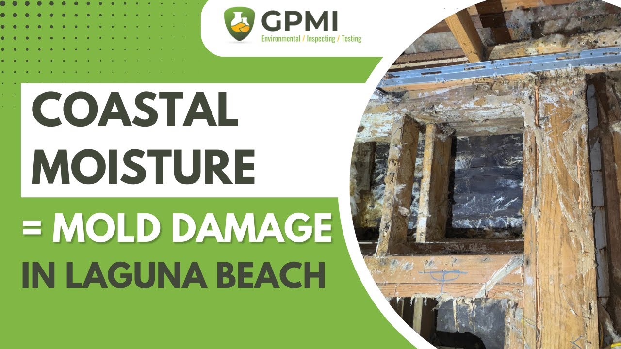 Laguna Beach Mold Inspection: How Coastal Moisture Damages Your Home Structure | GPMI