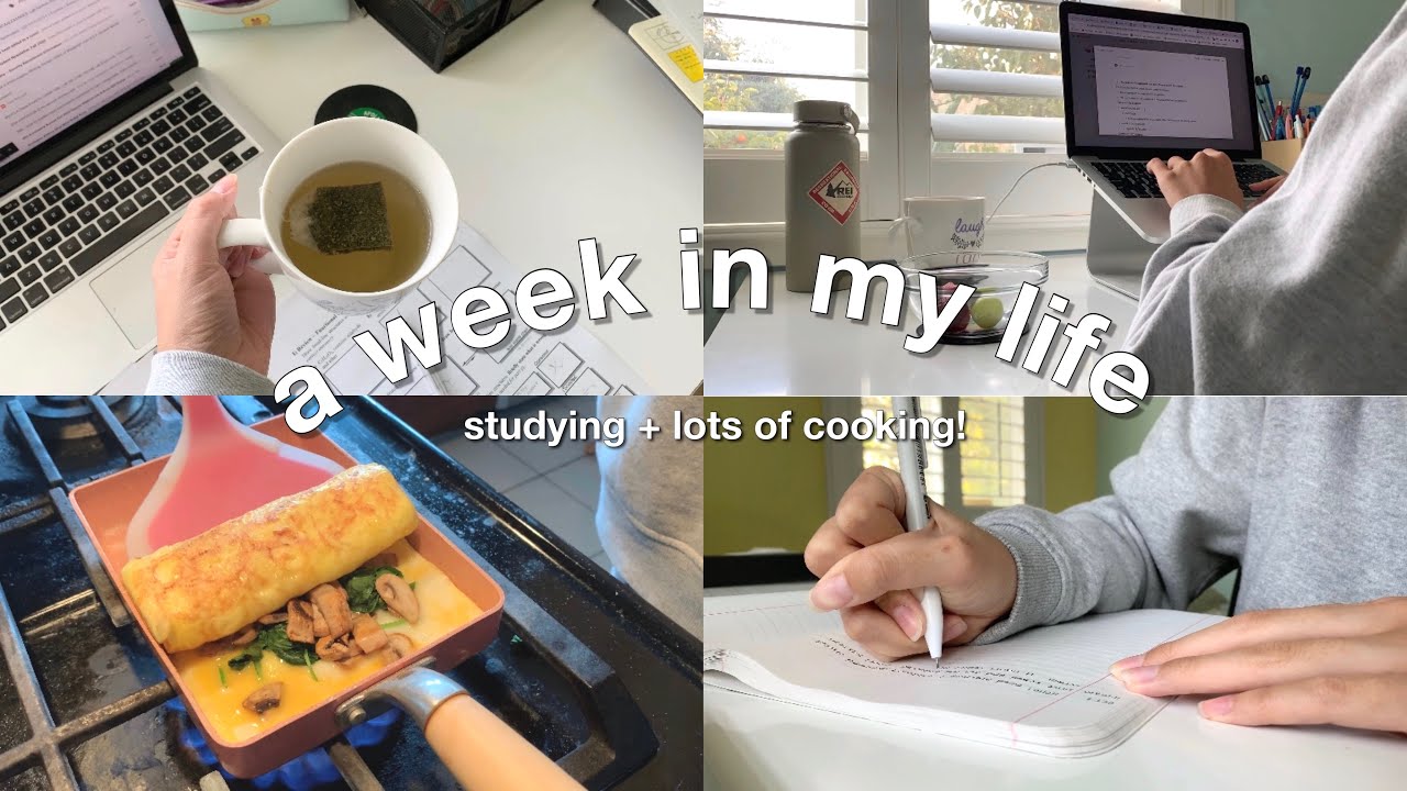 college vlog: paying full tuition for zoom to crash, studying, and lots of cooking! 🍳