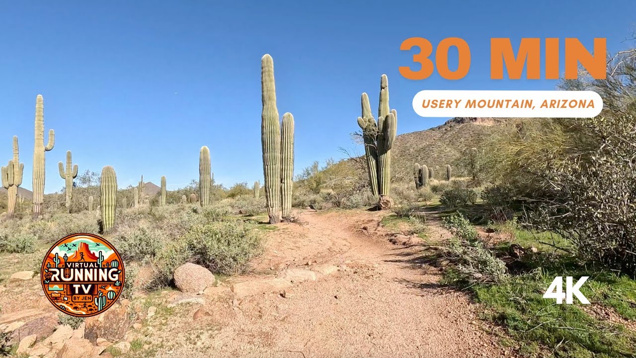 30 MIN Virtual Running For Treadmill - Course à pied - Trail Run - Arizona Scenery For Relaxation