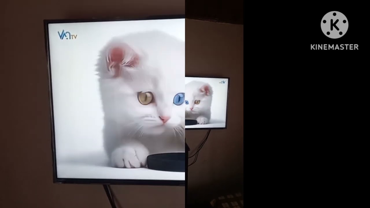 Van Tv Genel İzleyici Kitlesi Effects 