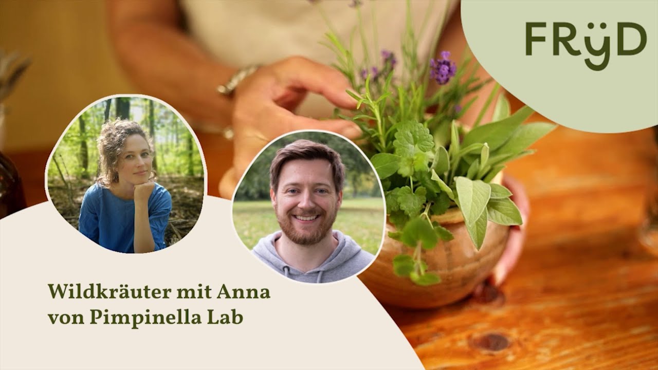 Wildkräuter sammeln, zubereiten und konservieren mit Anna vom Pimpinella Lab - Fryd Gartenpodcast