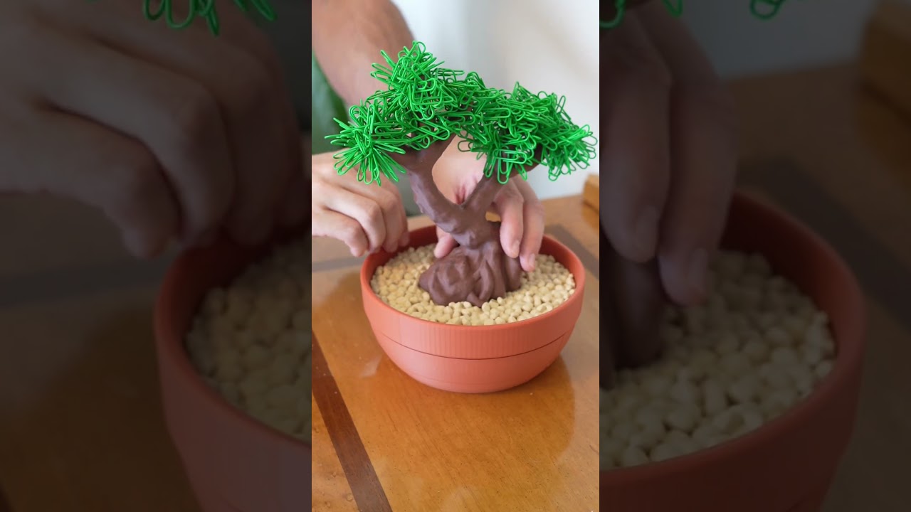 A Bonsai Tree that organizes your desk