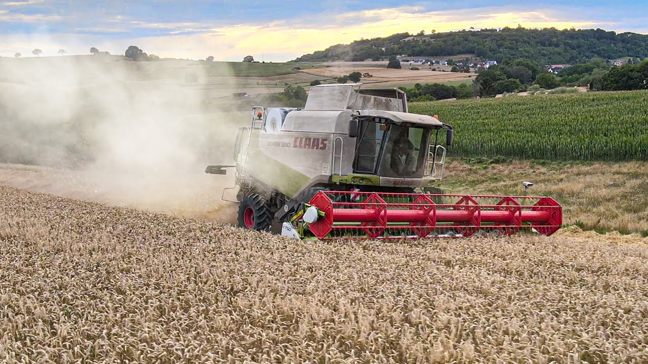 Getreideernte 2020 mit Claas Lexion 550