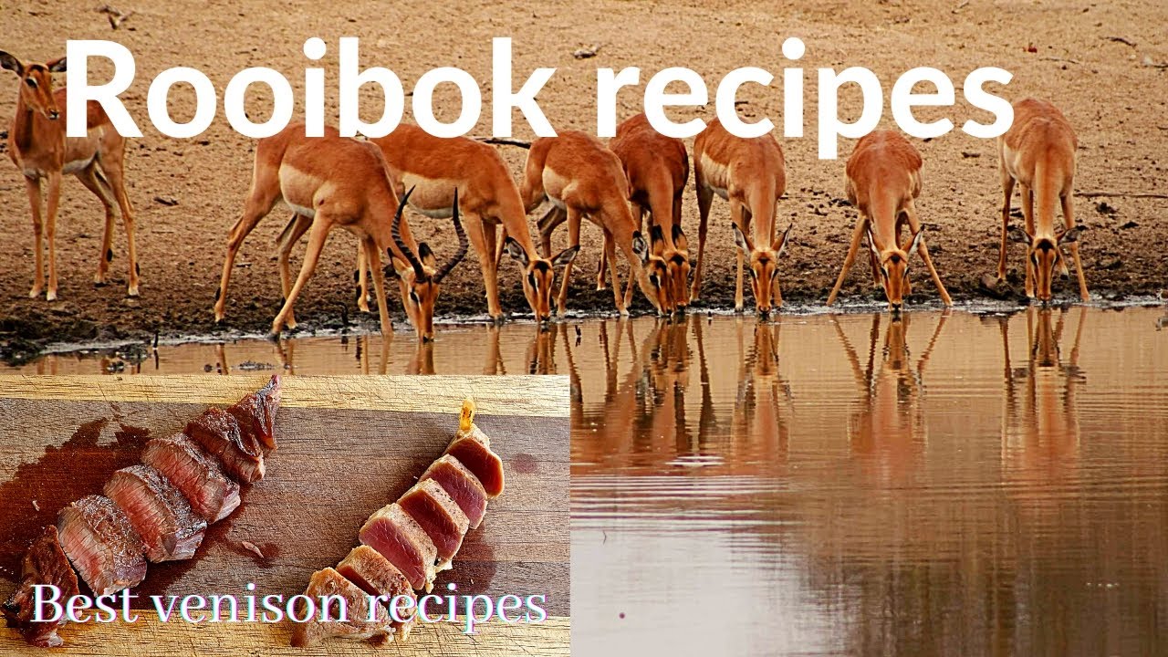 The Best Venison Recipes | Impala - Rooibok | Xman and Co
