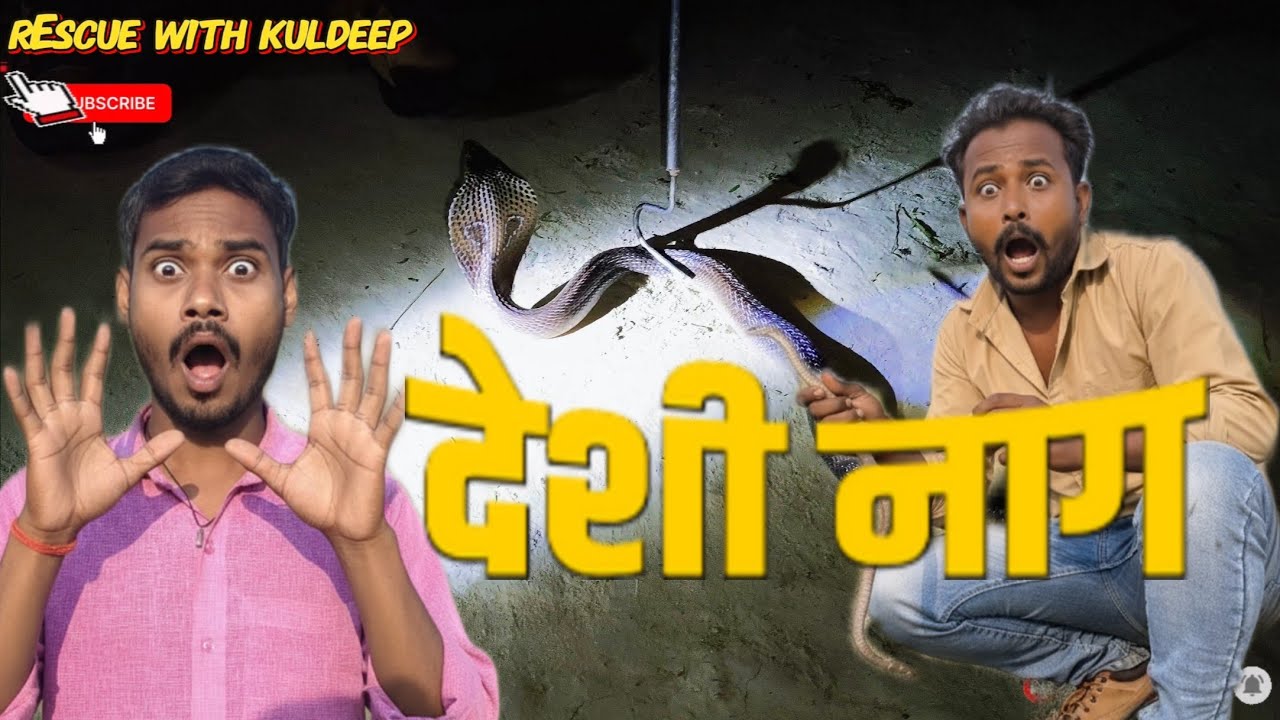 करकट के छिद्र में घुसा छुपा था कोबरा नाग रात 12 PM बजे रेस्क्यू टीम ने किया नाग का रेस्क्यू #rescue 