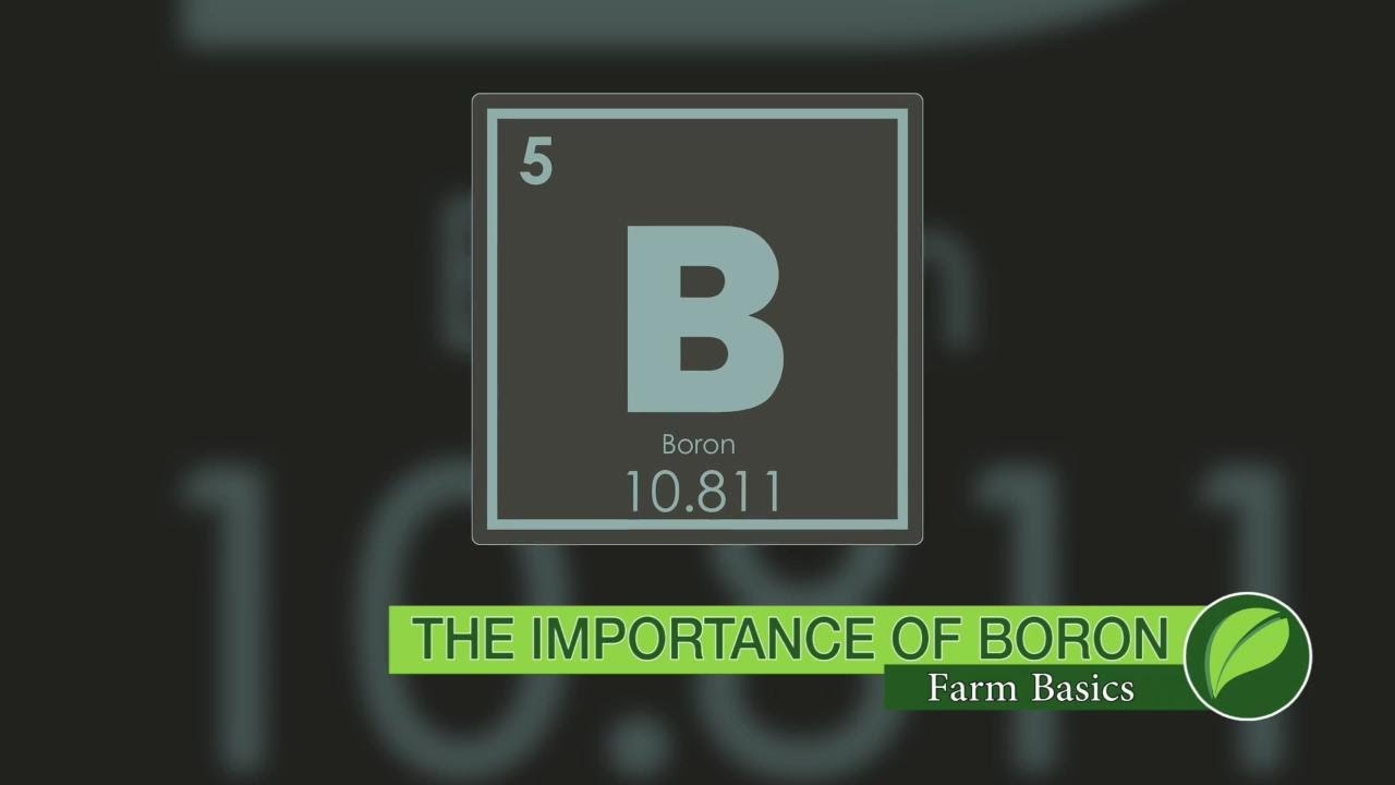 Farm Basics #1051 The Importance Of Boron (Air Date 5-27-18)