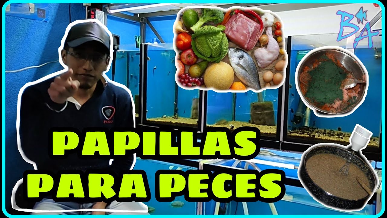 Papillas caseras para peces de acuario - Bioacuatixz