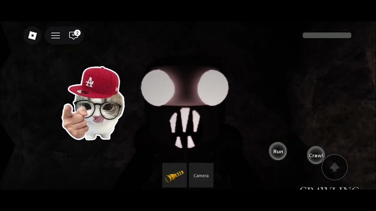 I play the maze with my sister (horror)