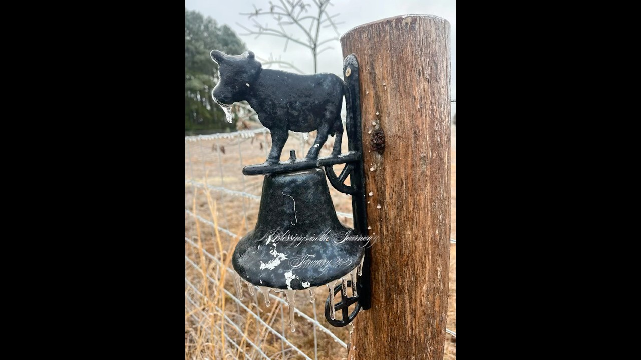 Frozen Homestead | January 2025 #