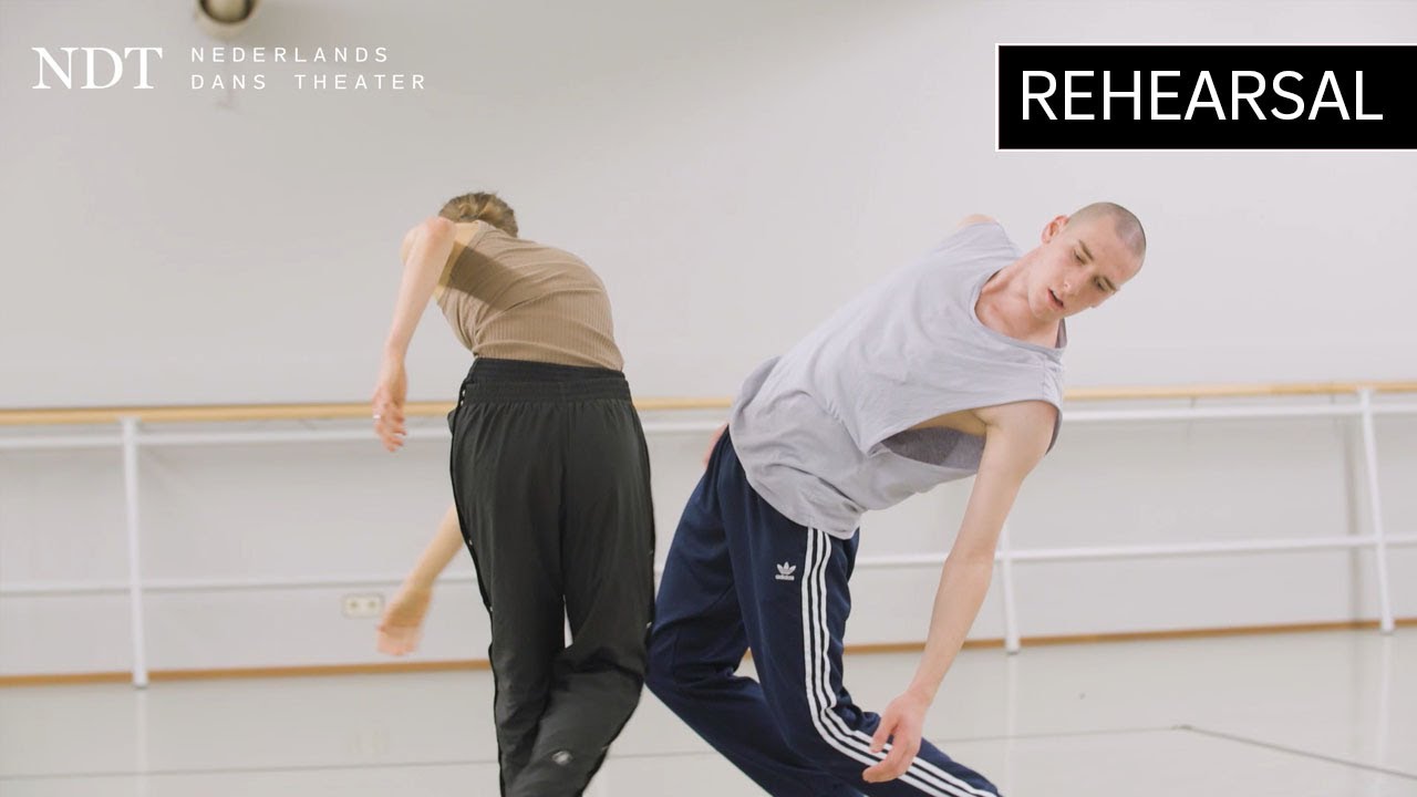 Rehearsal Fusions and some confusions - Dimo Milev (NDT 2 | Dare to Say)