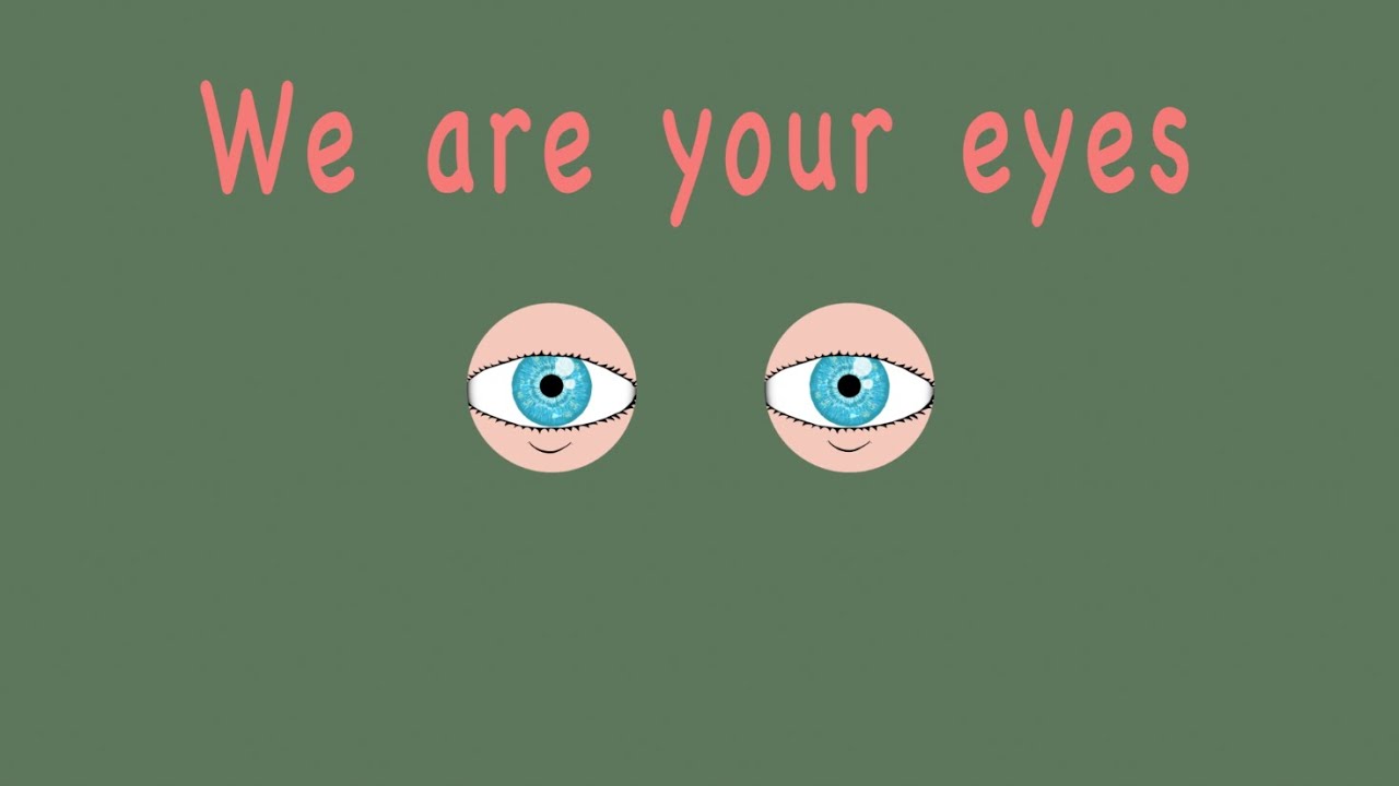 Eye Anatomy Song
