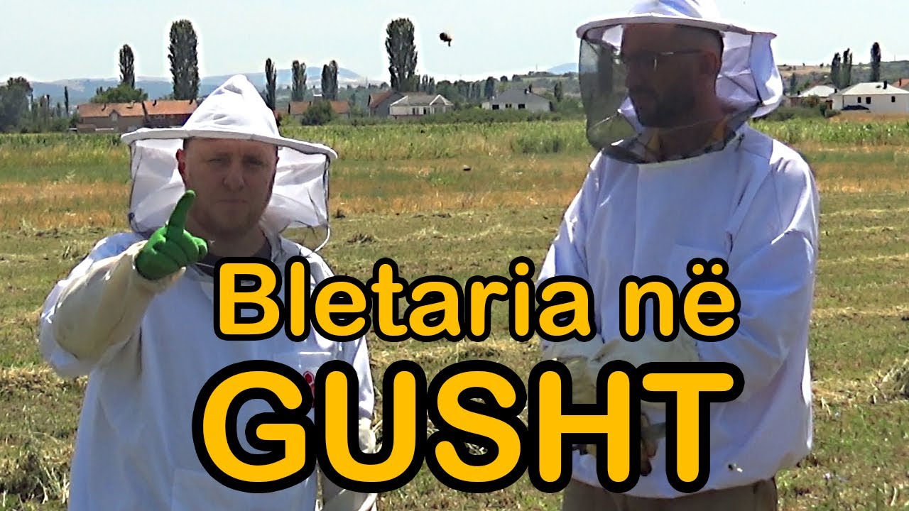 GUSHTI: Çfarë duhet të bëjë Bletari ? Viti i Ri për Bletarin