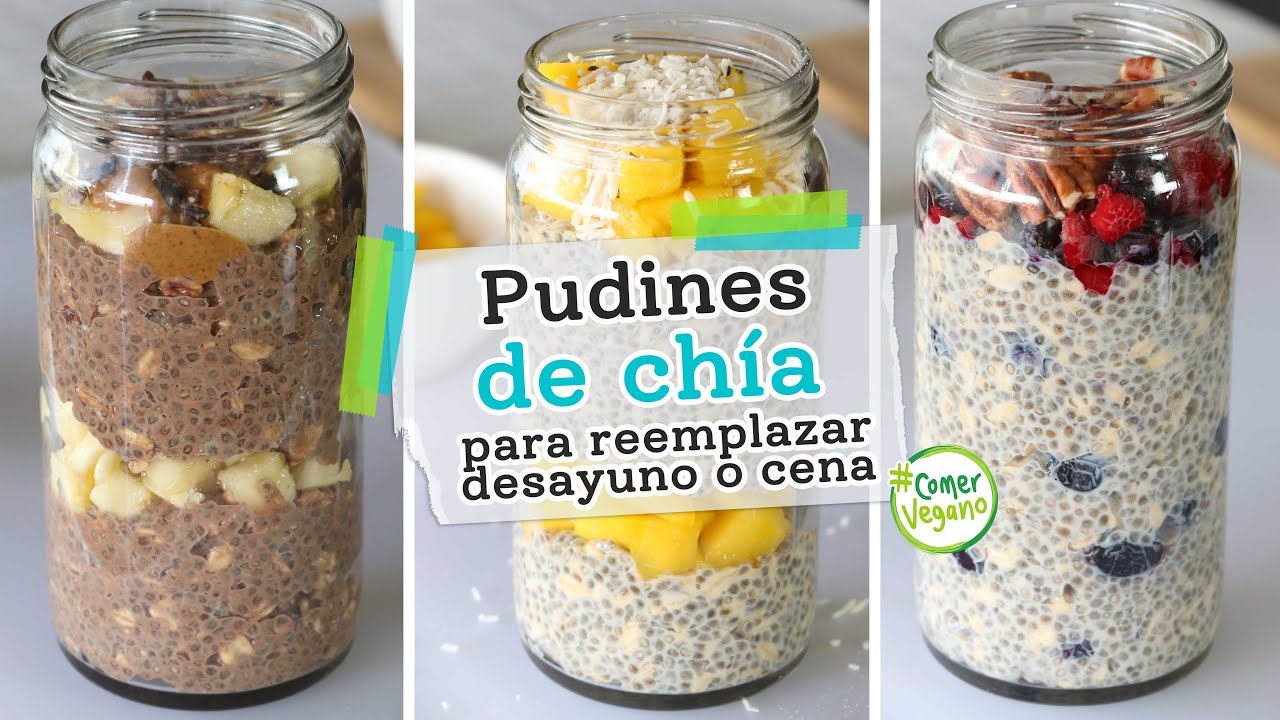 PUDINES DE CHÍA Y AVENA PARA REEMPLAZAR DESAYUNO O CENA | Exquisitos y ricos en omega 3...
