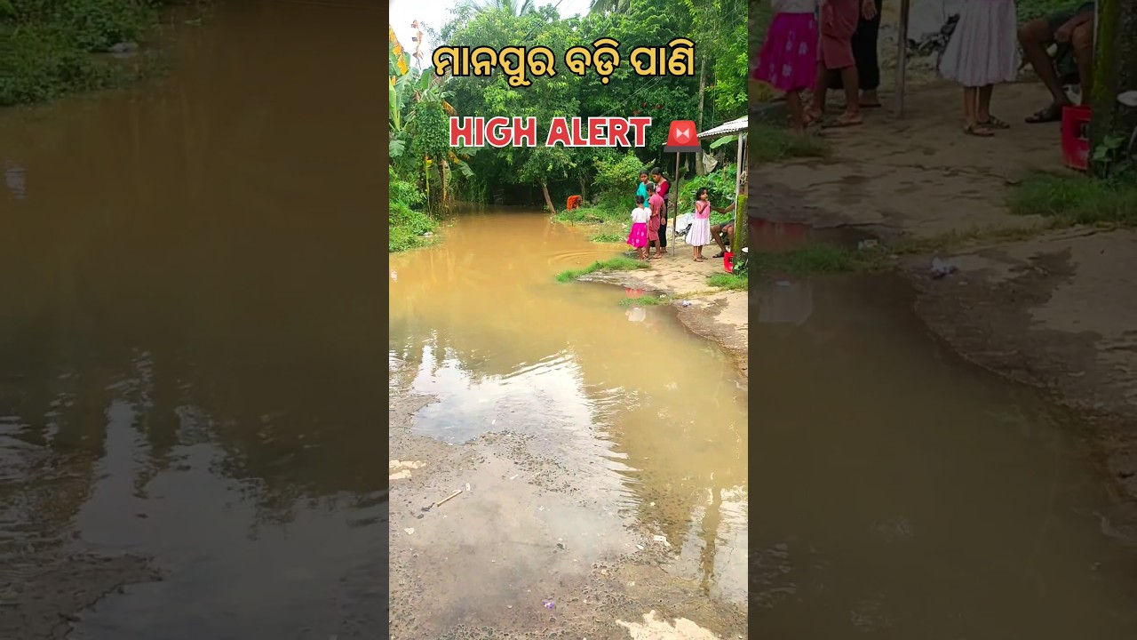 ବଡ଼ି ପାଣି || HIGH 🚨 ALERT/ ODISHA VILLAGE FLOOD.