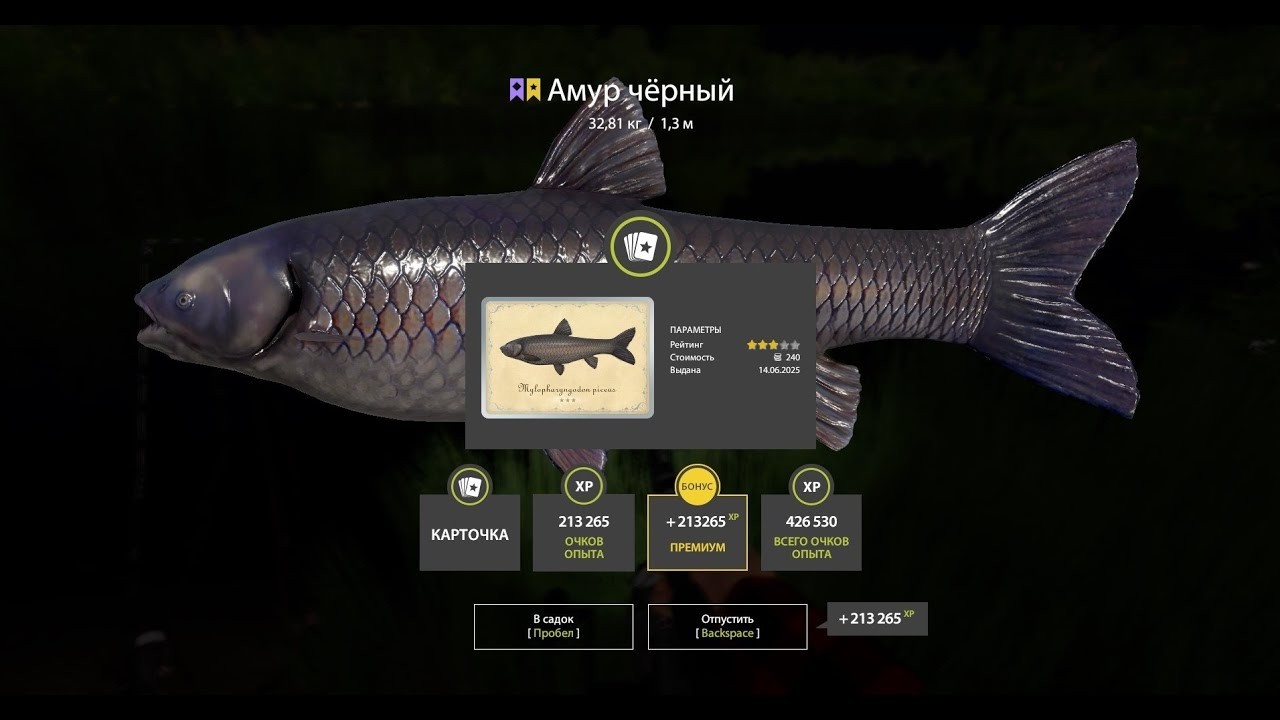 ➤ ФАРМ СЕРЕБРА НА VENGA II