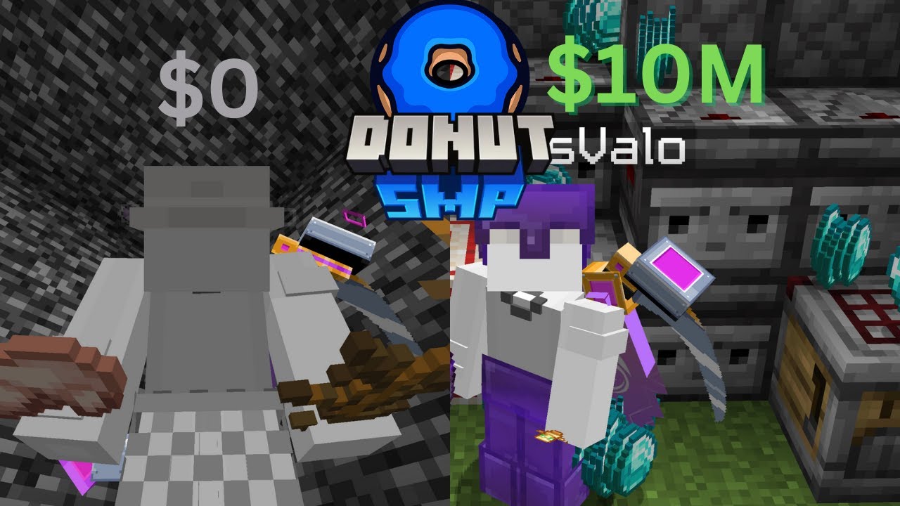 How I went from zero to an Elytra with only AH flipping on Donut smp
