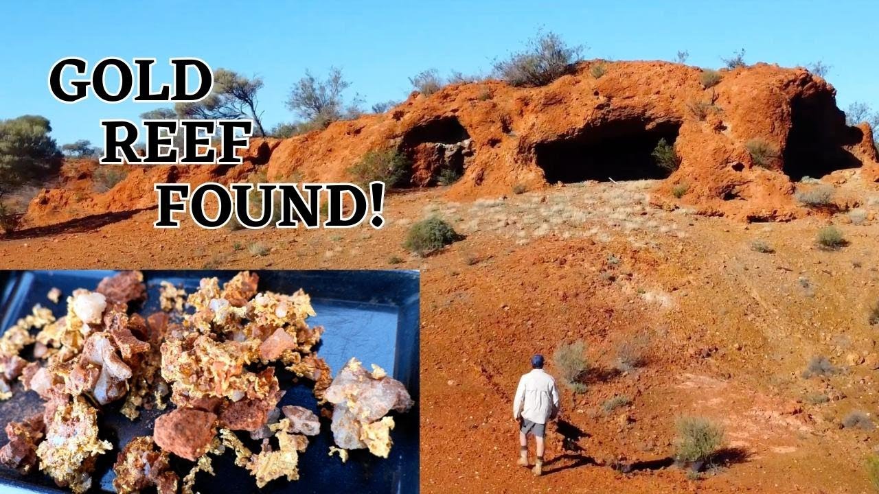 Reef Found & all the Minelab machines find Gold!