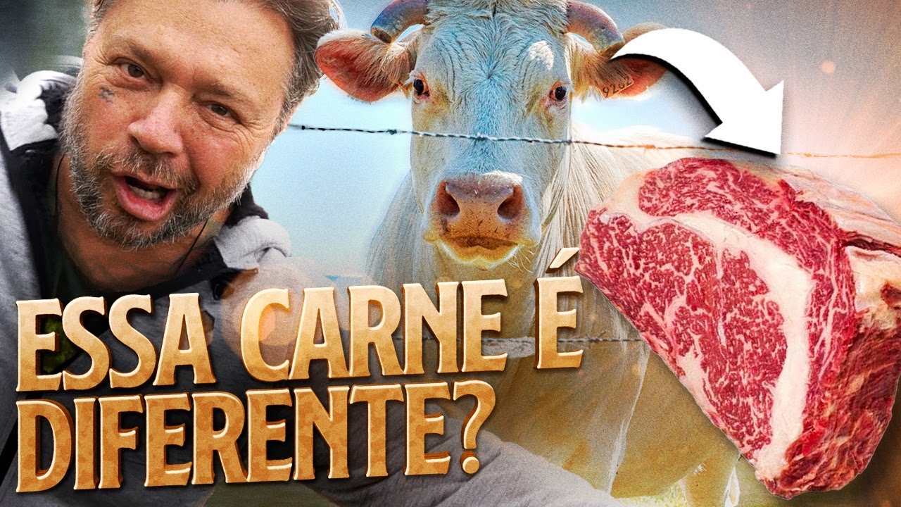 CHAROLES, O GADO BRANCO FRANCÊS BOM DE CARNE! | RICHARD RASMUSSEN