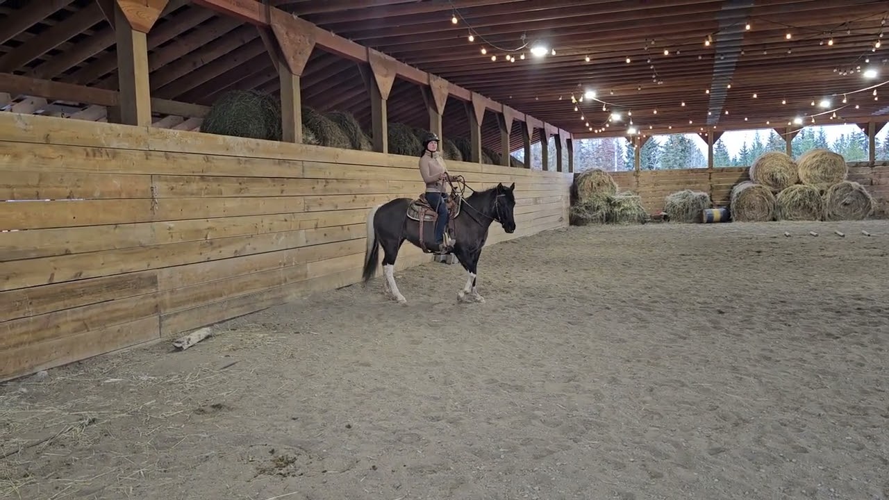 Valaurie Wettstein & Lightning, Ranch Riding W/T,  Green Rider & Green Horse