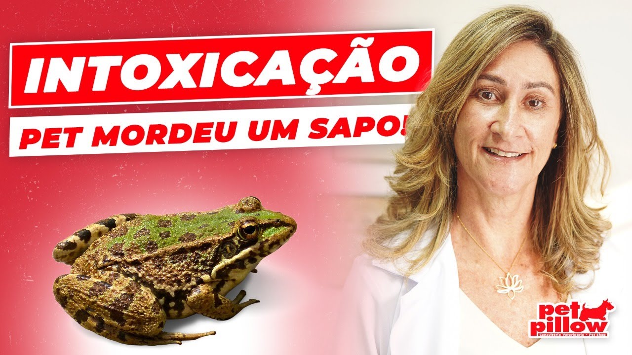 Meu cachorro mordeu um sapo, e agora? | Dra. Michele Sandrault