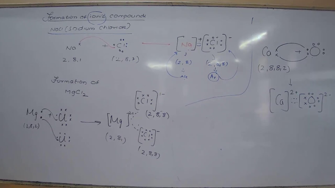 NRL23 - X CBSE SCIENCE NKT 11/06/2022