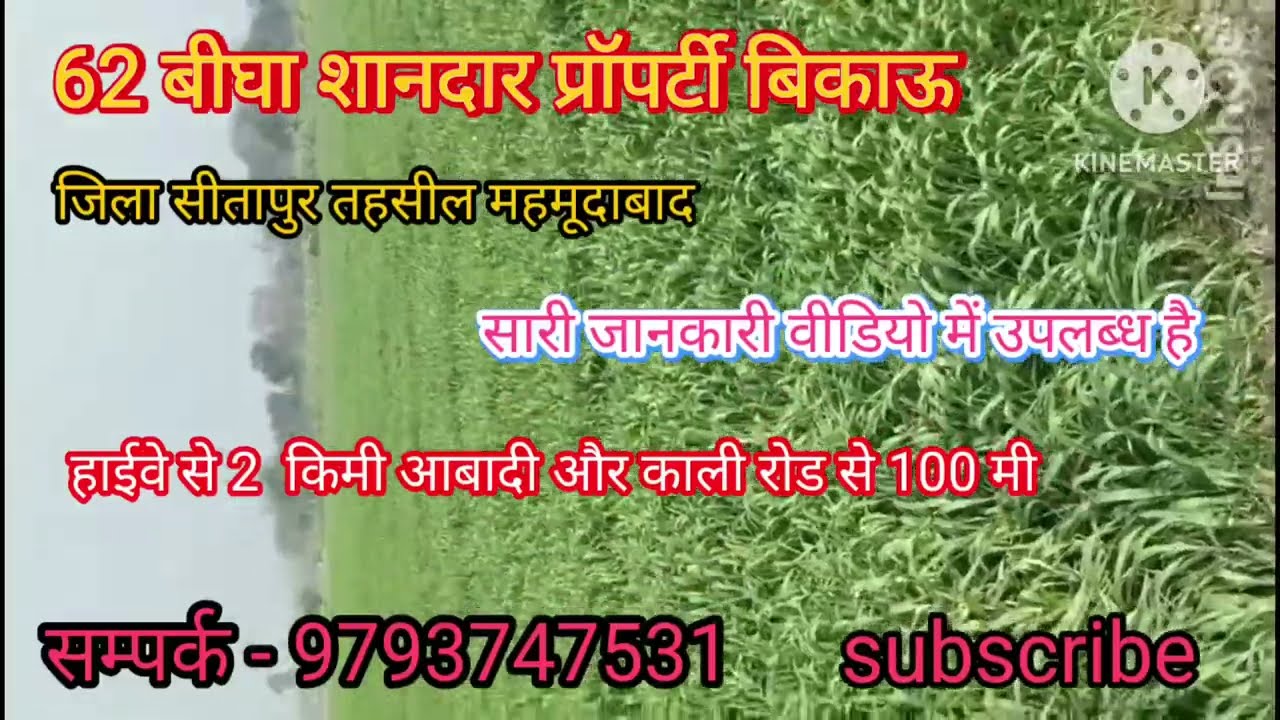 सम्पर्क - 9793747531#62#बीघा जिला सीतापुर तहसील महमूदाबाद रेट बहुत सस्ता मात्र 250000 रुपए पर बीघा 