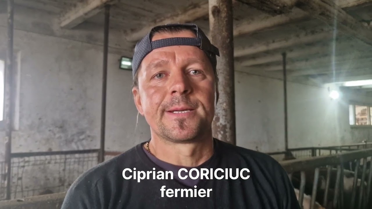 Ferma CORICIUC, orașul Siret