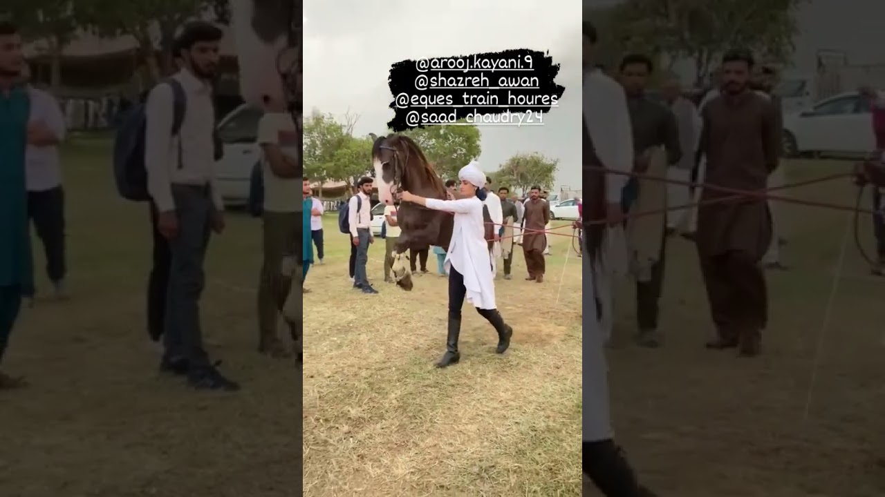 First Pakistani Female Horse Rider|Arooj Kiyani