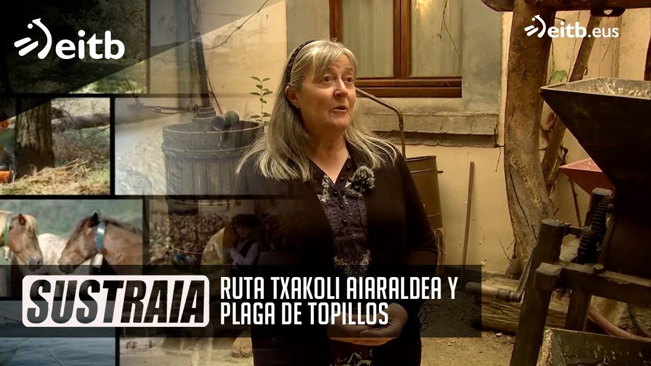 SUSTRAIA: Ruta txakoli Aiaraldea y Plaga de topillos