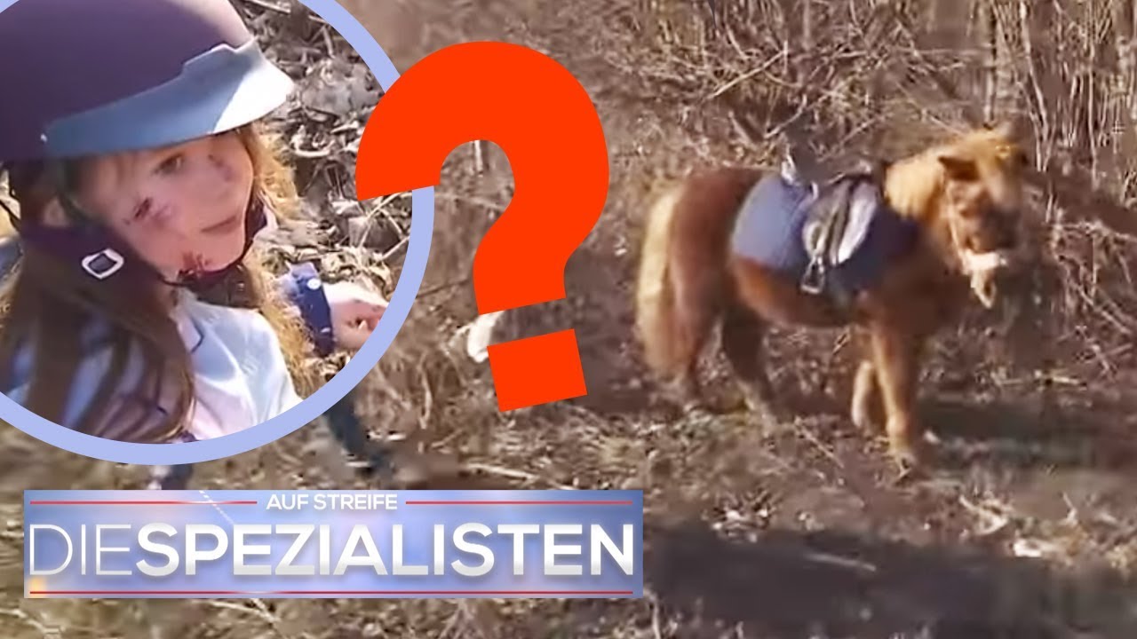 Alina (6) mit Pony verschwunden! Wo ist sie mit Sternchen hin geritten? | Die Spezialisten | SAT.1