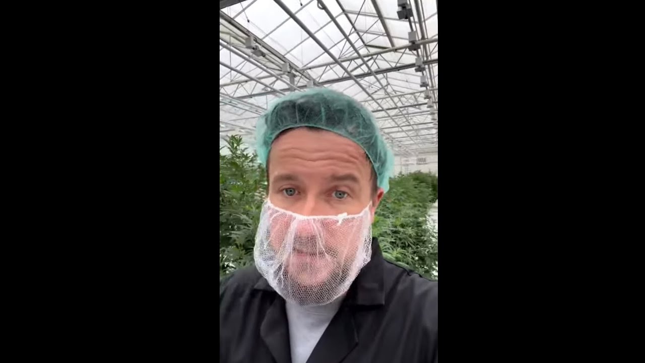 FloraMax X KushKraft