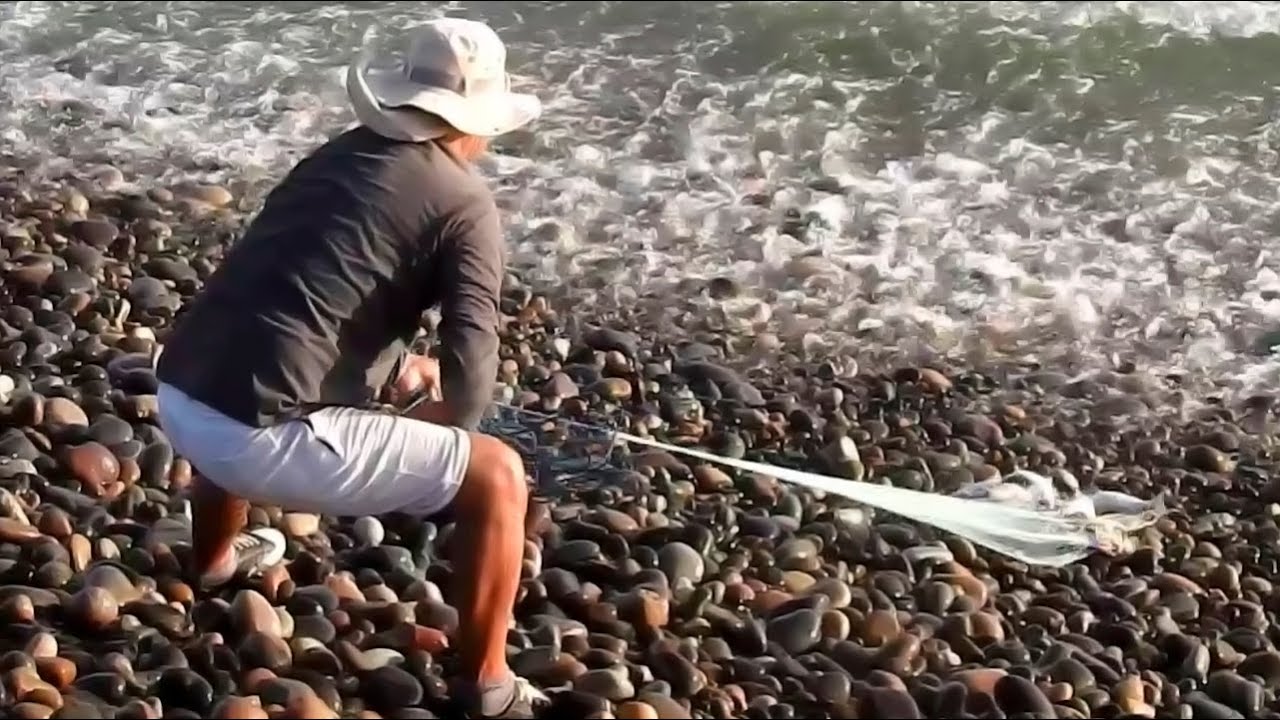 Море бурное, но на берегу тысячи рыб... Посмотрите, какой улов они поймали!
