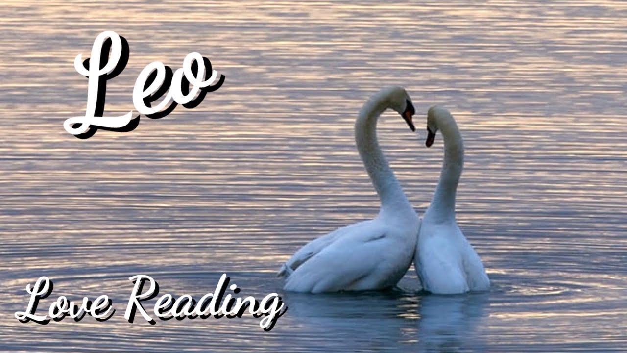 LEO MID APRIL 2021: A Reconciliation After an Ending ❤️ Love Reading