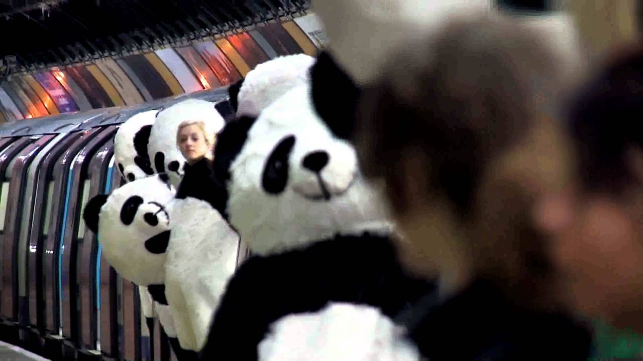 Panda-monium Takes Over London - Behind the Scenes