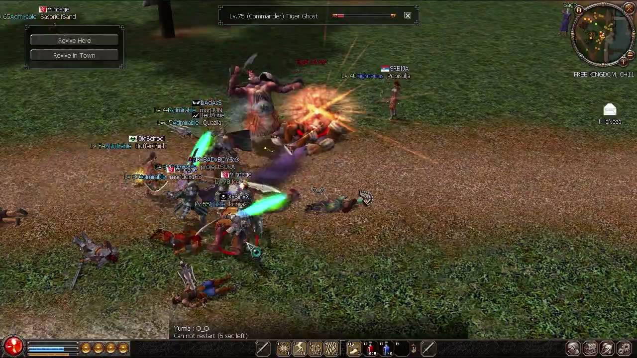 Metin2 US -Milgaard Kill Boss (Tiger Ghost)